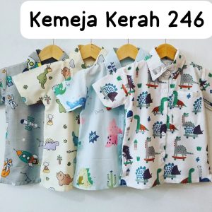 Kemeja Kerah 2 4 6