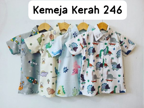 Kemeja Kerah 2 4 6