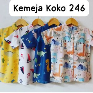 Kemeja Koko 2 4 6