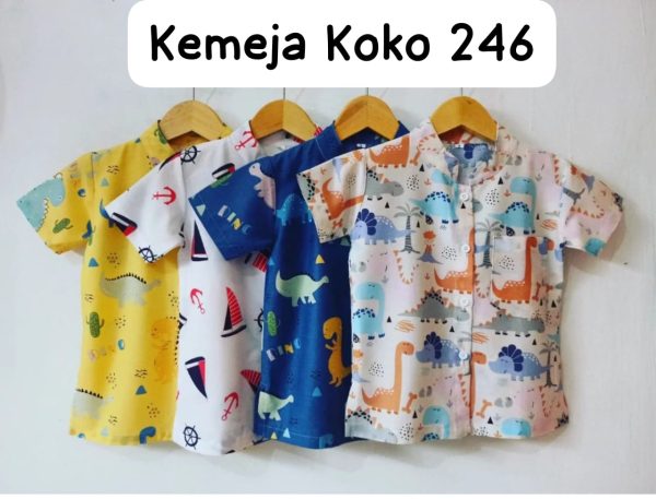 Kemeja Koko 2 4 6
