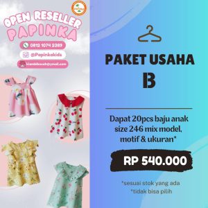 Paket B