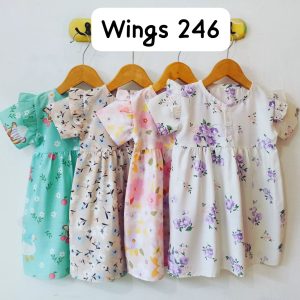 Wings 246