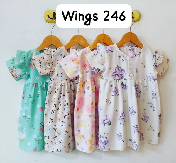 Wings 246